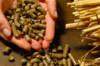 free Blunts biomass boiler quotes